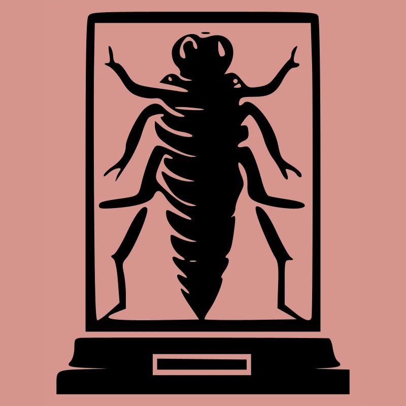 Insecte musée