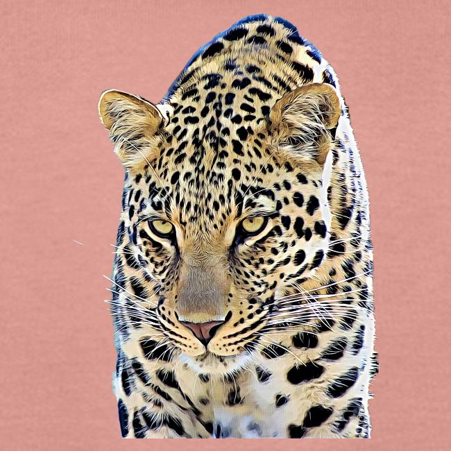 leopard