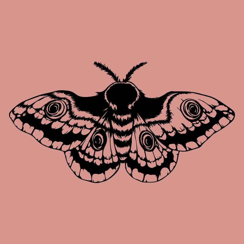 Petit papillon de nuit