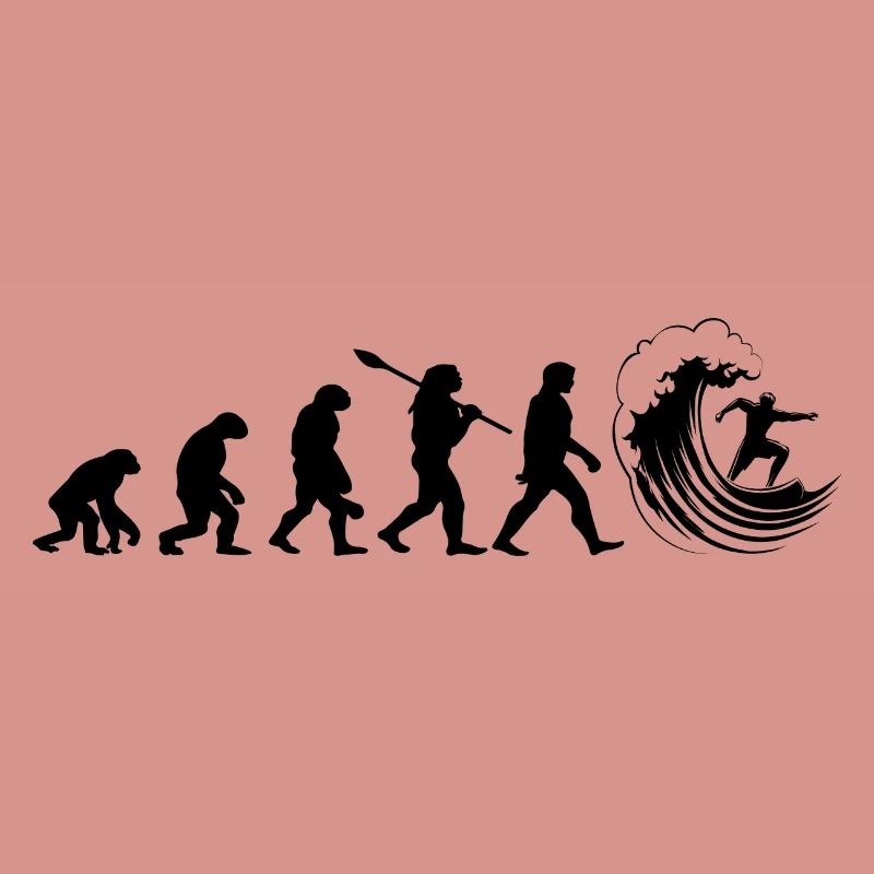 Evolution Surf