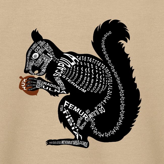 Eichhörnchen