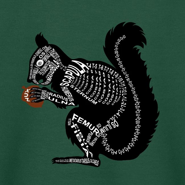 Eichhörnchen