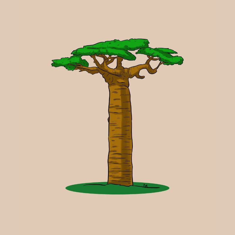 Baobab