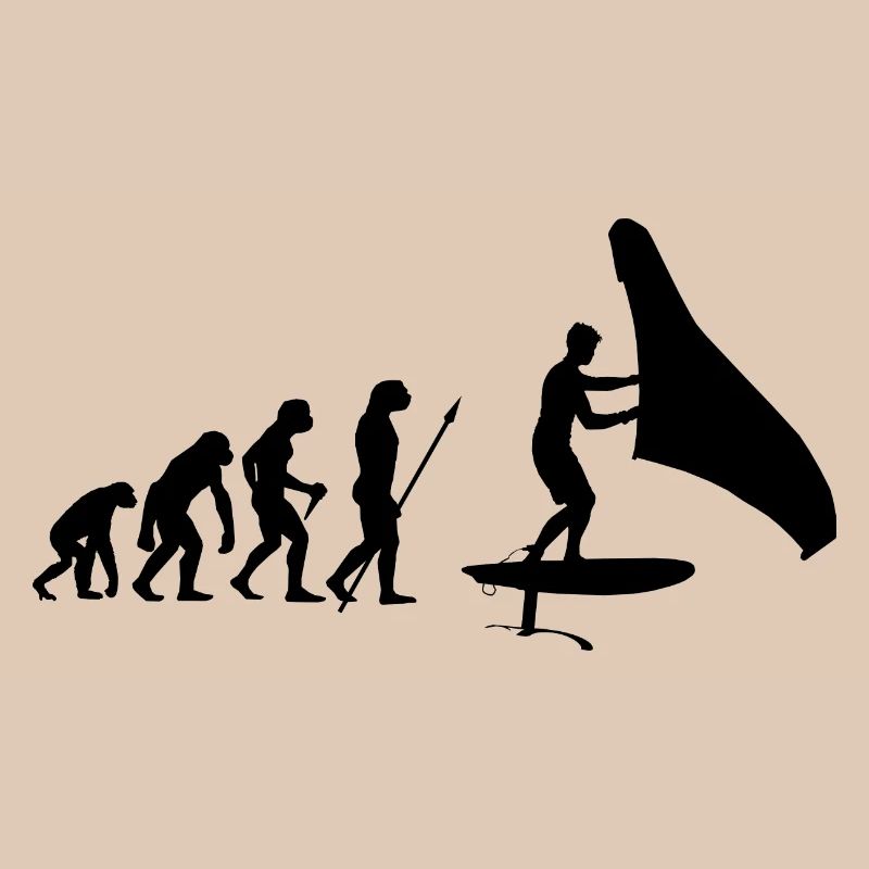 Hydrofoil Wingfoil Evolution Foil Wing Wingfoiling