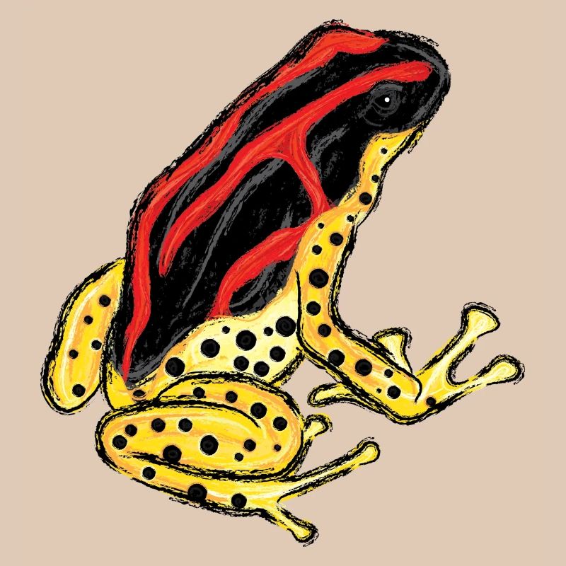 Baumsteigerfrosch Pfeilgiftfrosch PoisonDartFrog 7