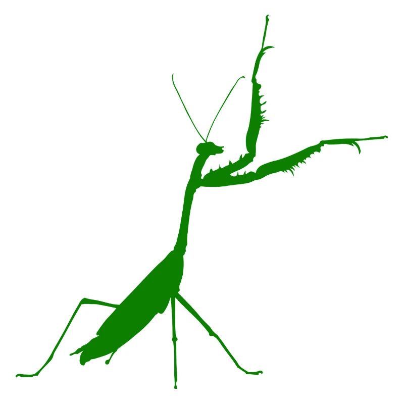 Verde mantide religiosa