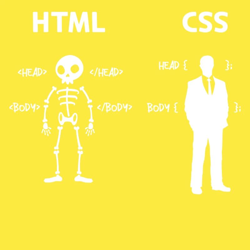 Code Css C++ Php Java Developer Code Scripting