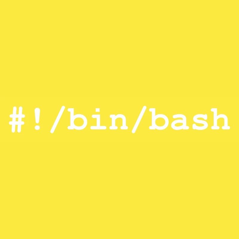 Shell bash / bourne-again sous Linux et Unix