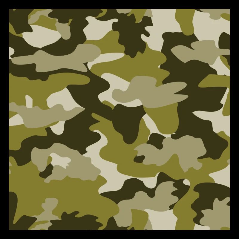 camouflage