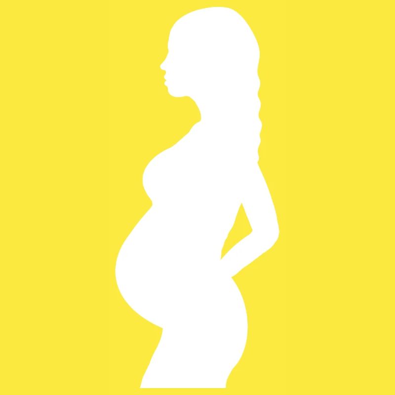 Enceinte