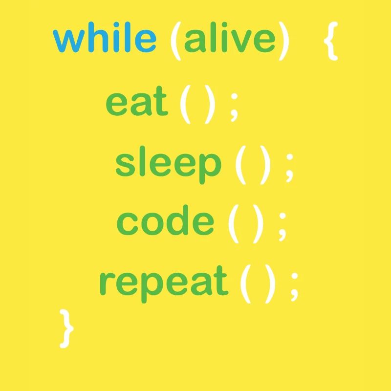 Développeur de logiciels de codage Python