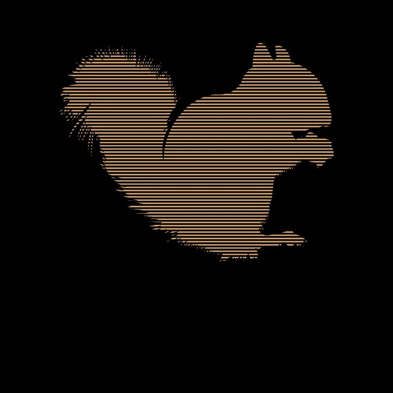 Eichhörnchen