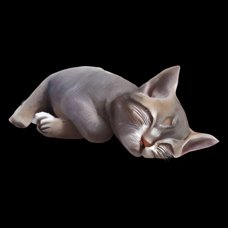 Schlafende Katze