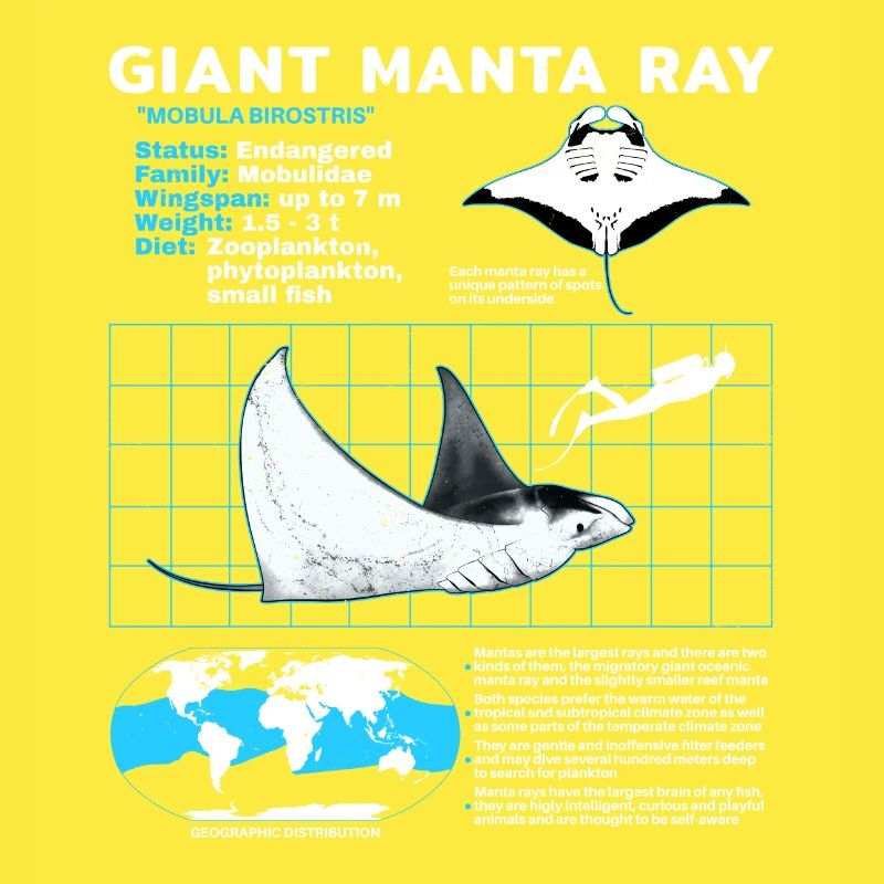 Mantarochen Datenblatt