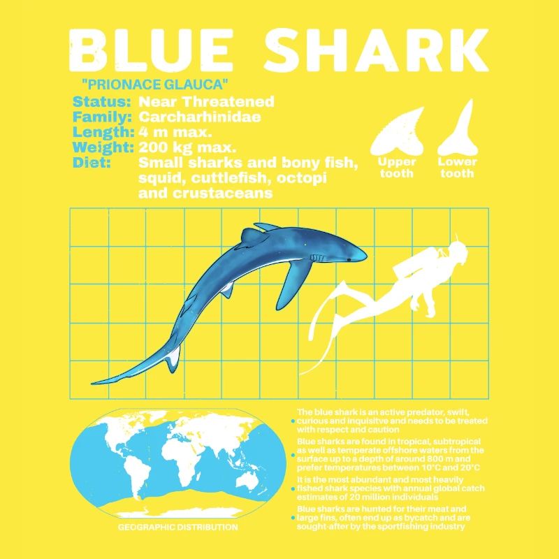 Blue Shark Datasheet Fact Sheet