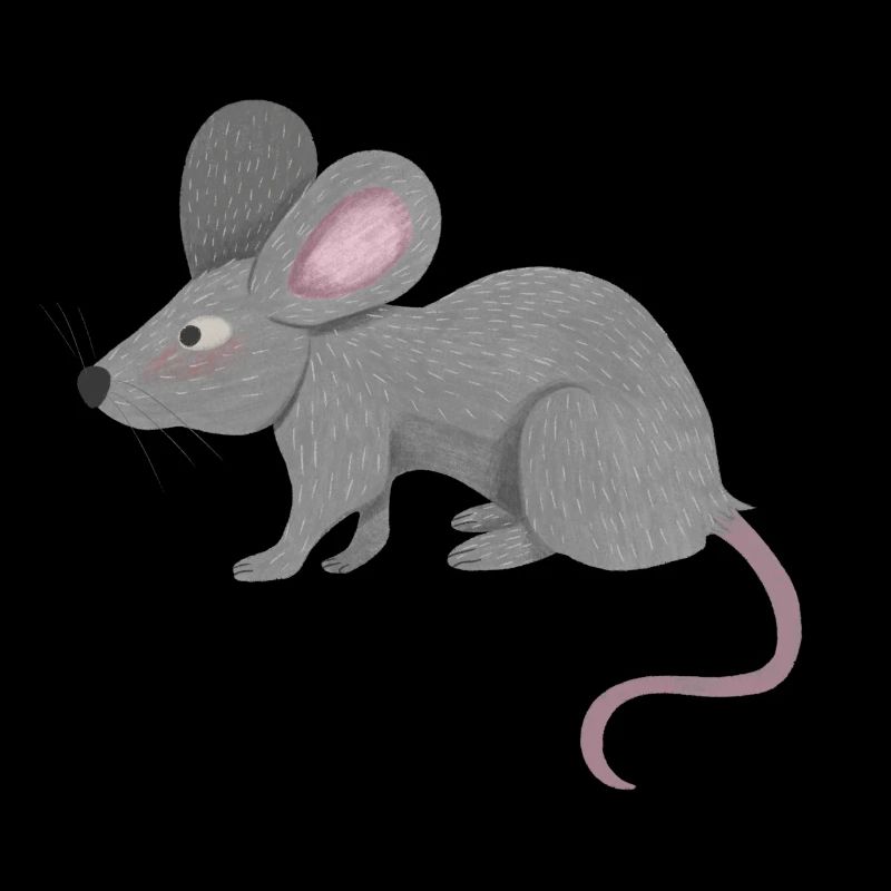 petit rat