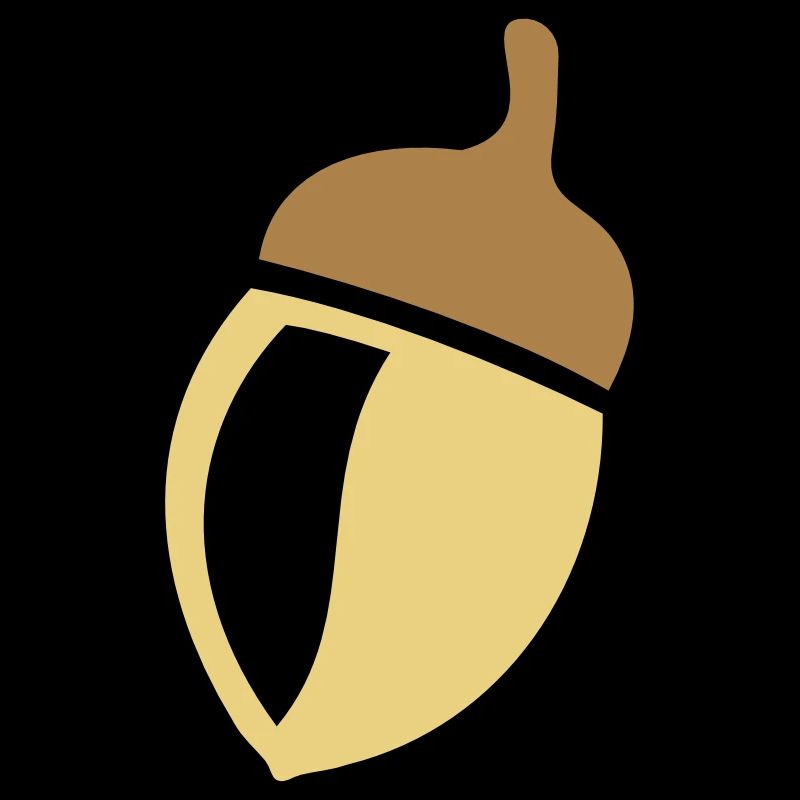 acorn