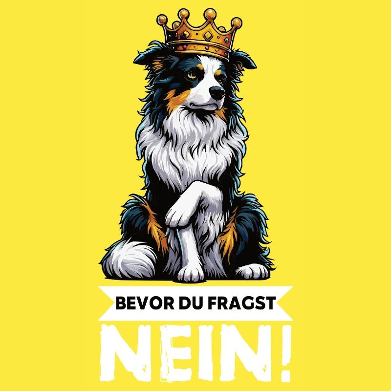 Bevor Du Fragst Australian Shepherd Aussie Aussie