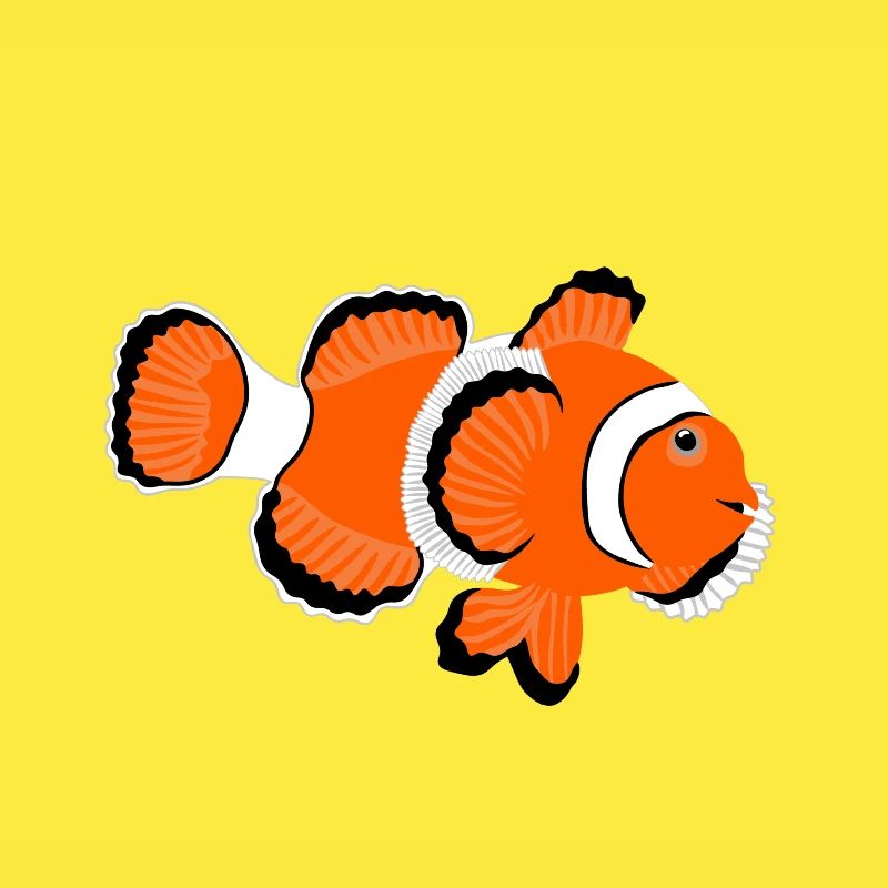 Clownfish Anemone Fish No.2 /orange white fish