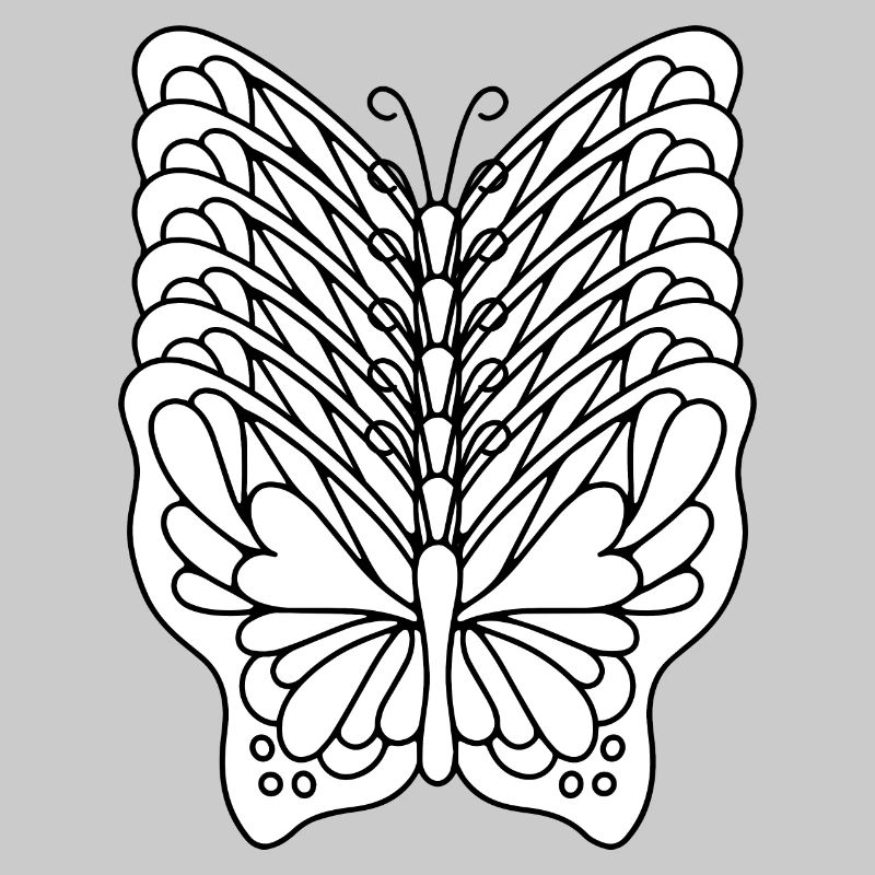 Butterfly Effect