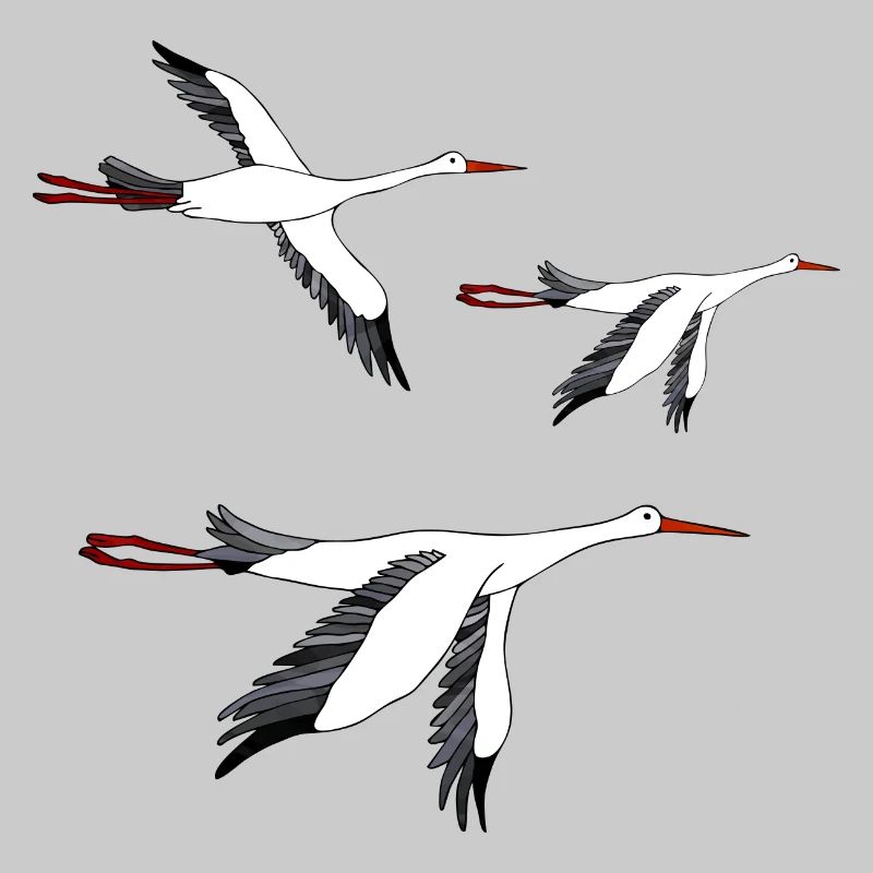 Storks