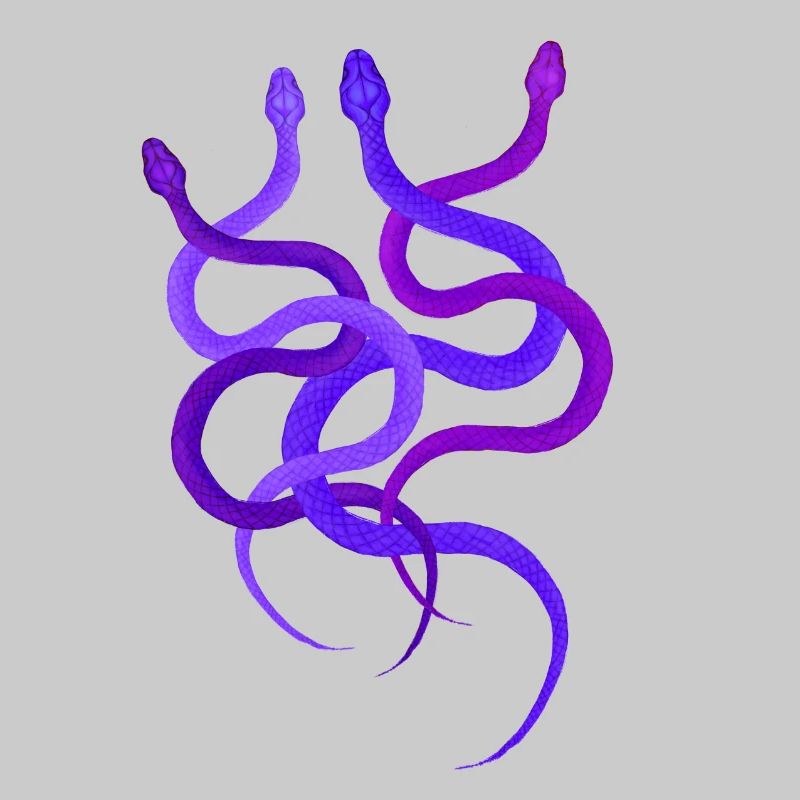 Einfaches Schlangendesign, 4 wilde Pythons