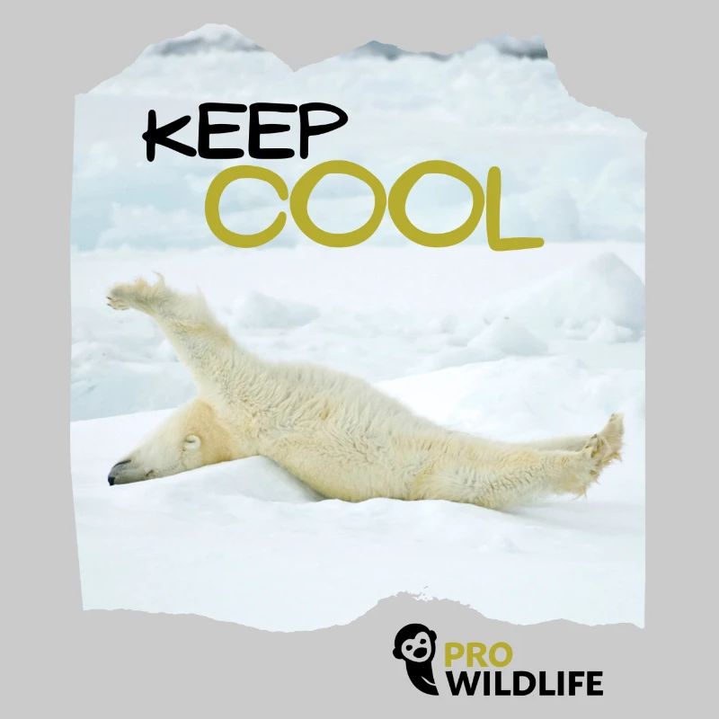 KEEP COOL Eisbär