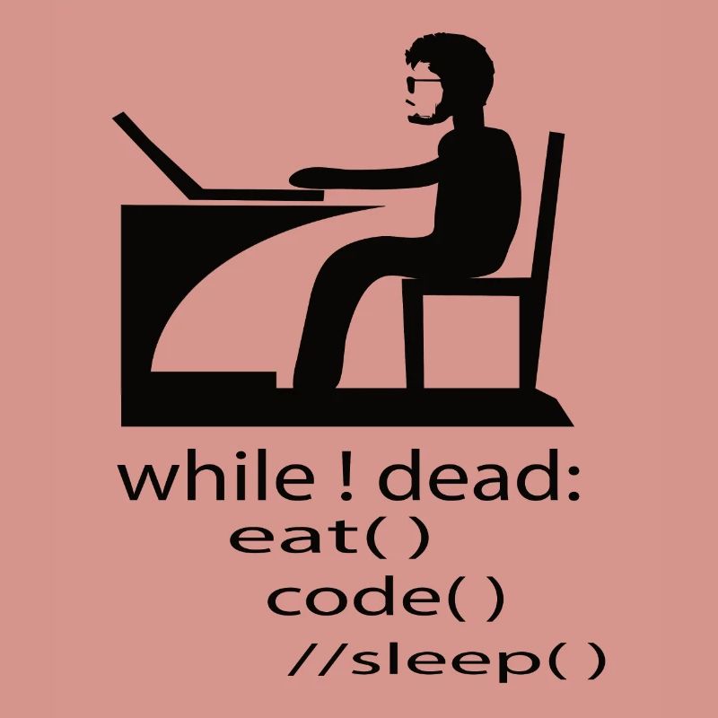 Softwareentwickler Programmierer Geschenk