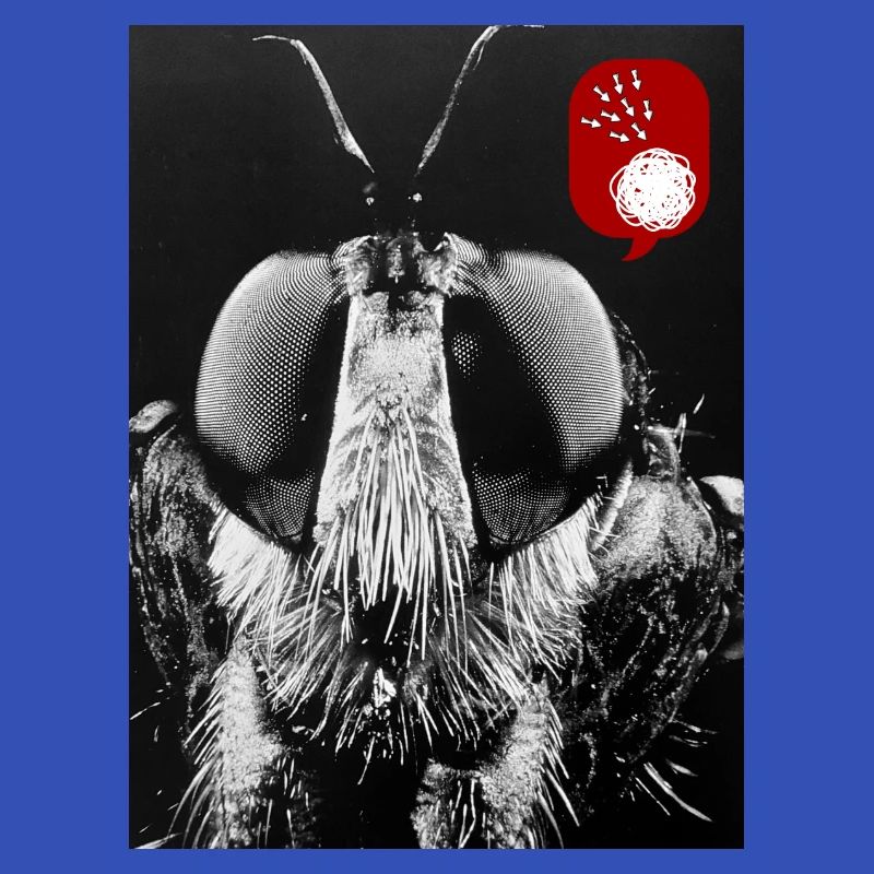 Bug off (Bug désactivé)