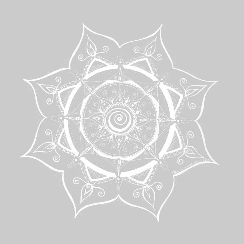 Conception de toile d’araignée Mandala