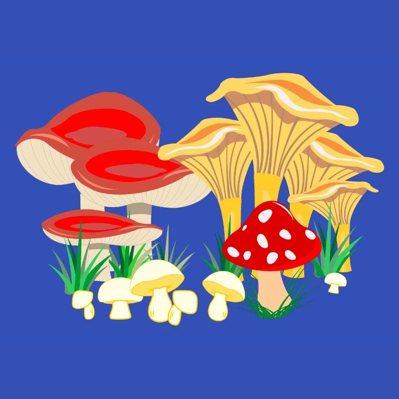 Composition colorée des champignons