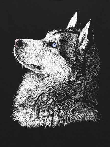 Husky