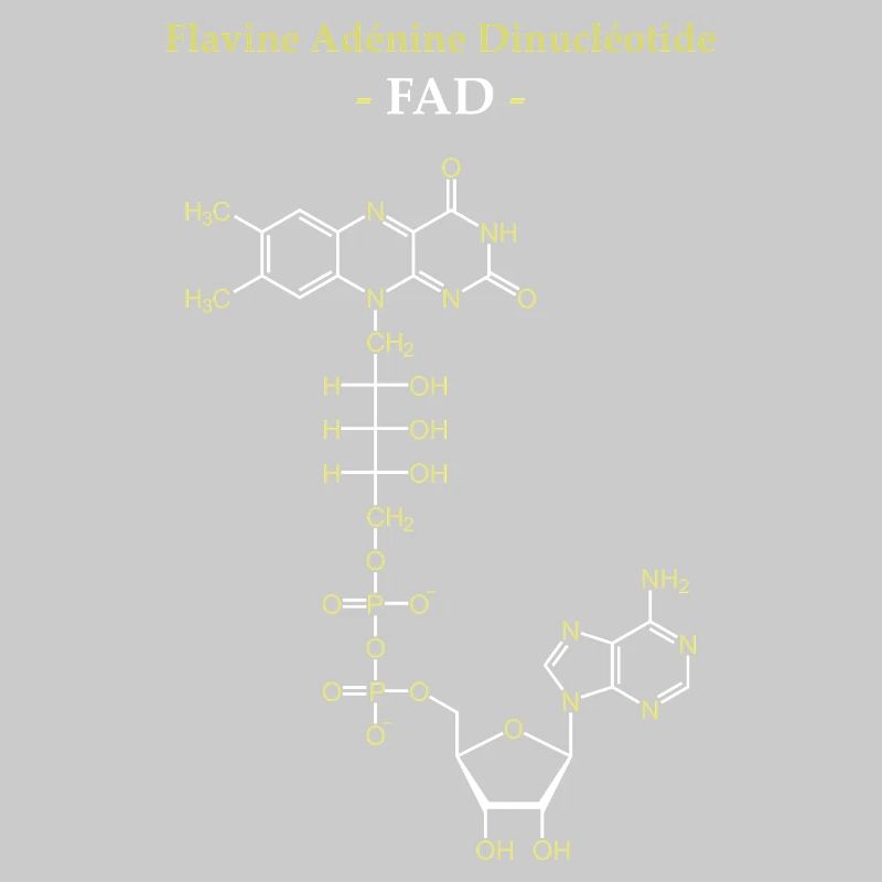 ADF Flavin Adenine Cofactor