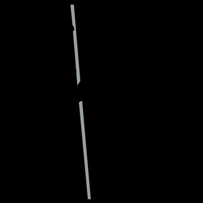 Pole Dance Nixe