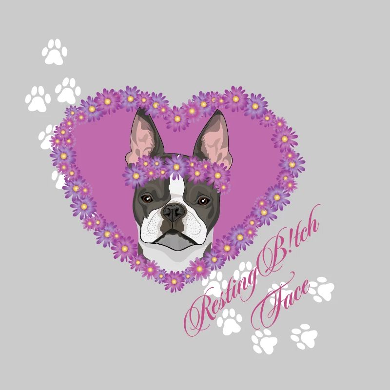 Ruhende B!tch Face Boston Terrier