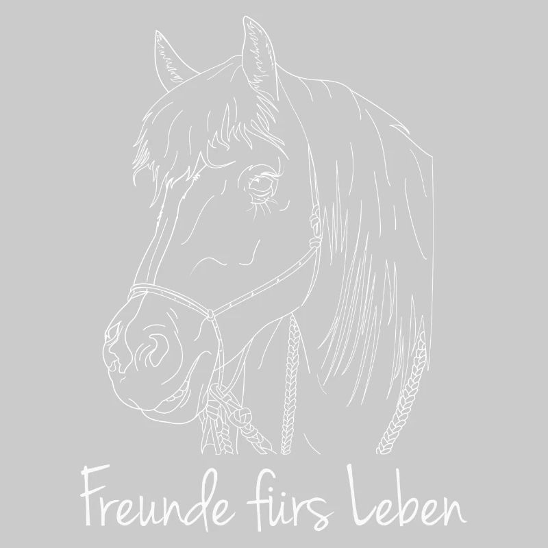 Freunde fürs Leben Haflinger Pferd