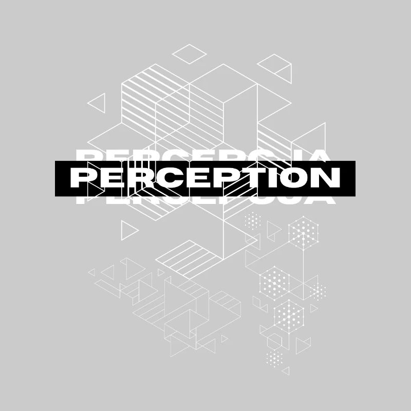 Perception Geometry Mystique