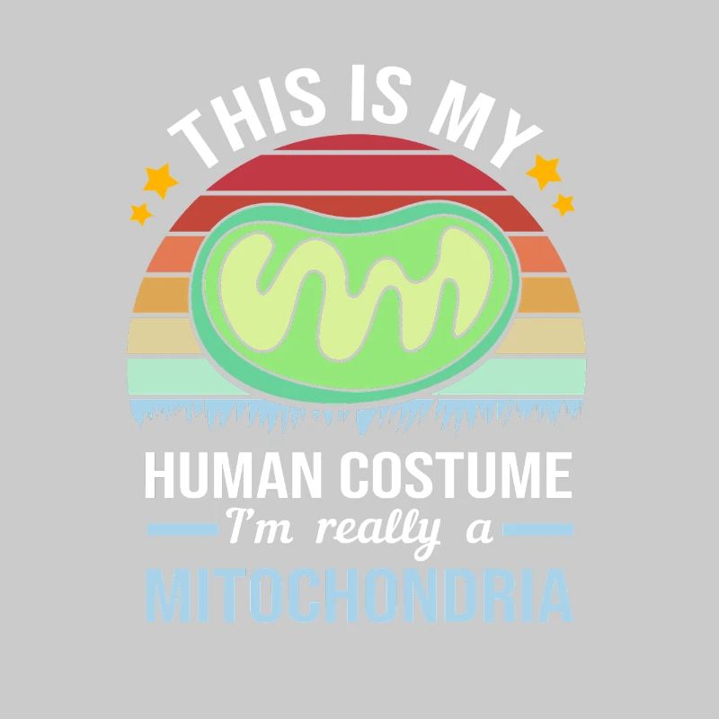 Formule structurelle de la molécule