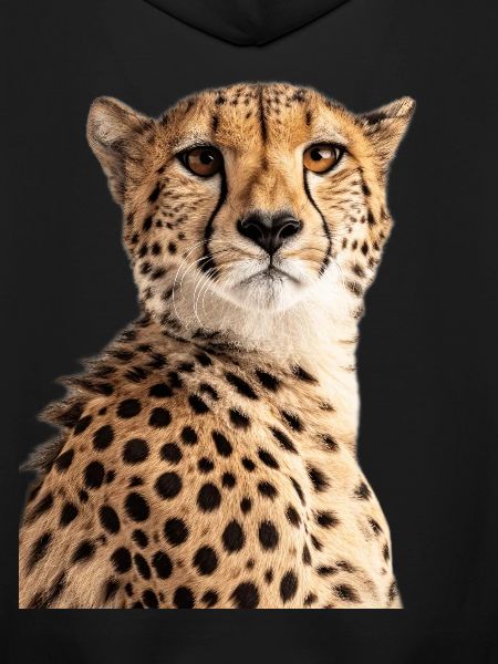 Gepard