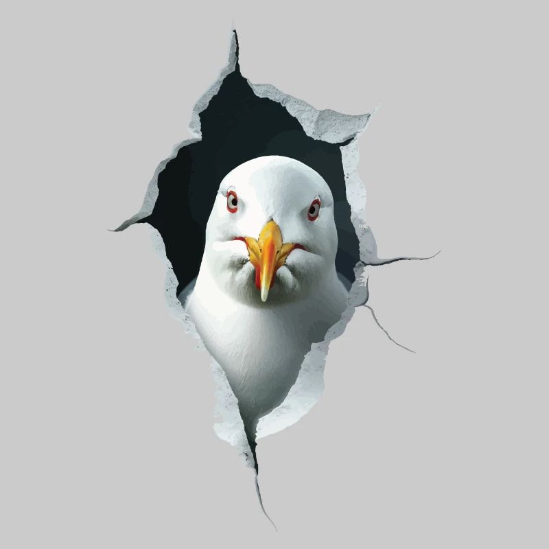 Möwe