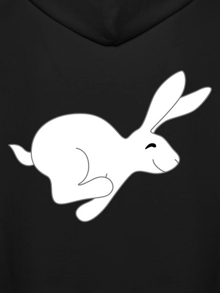 fast bunny