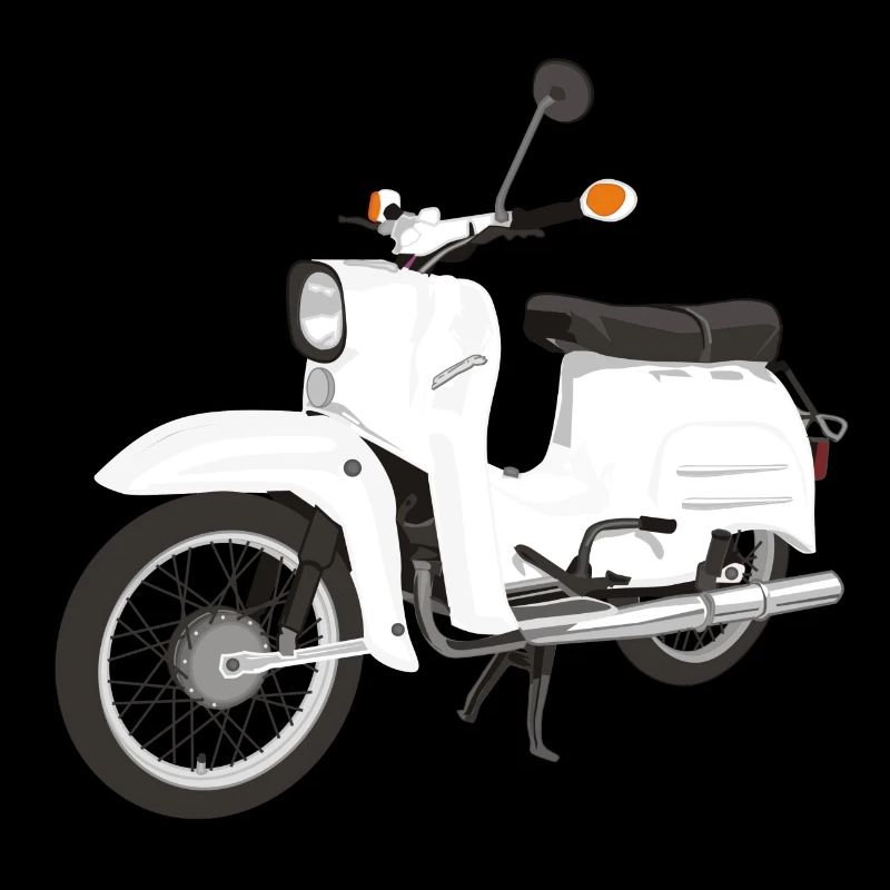 Simson Schwalbe
