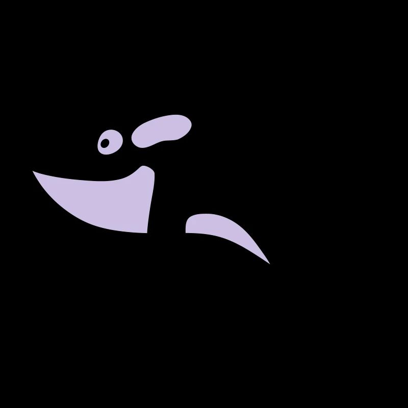 Orka - Orca - Wal - Whale