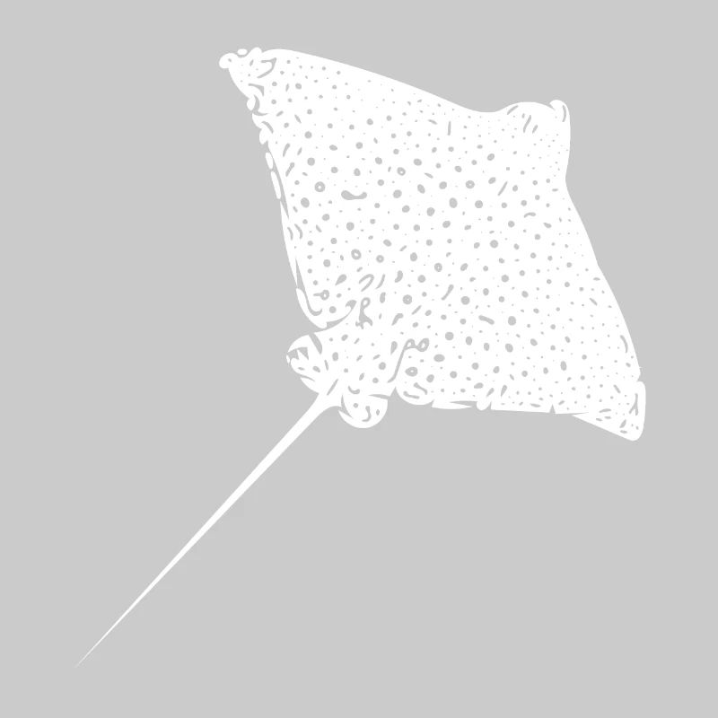 Eagle rays