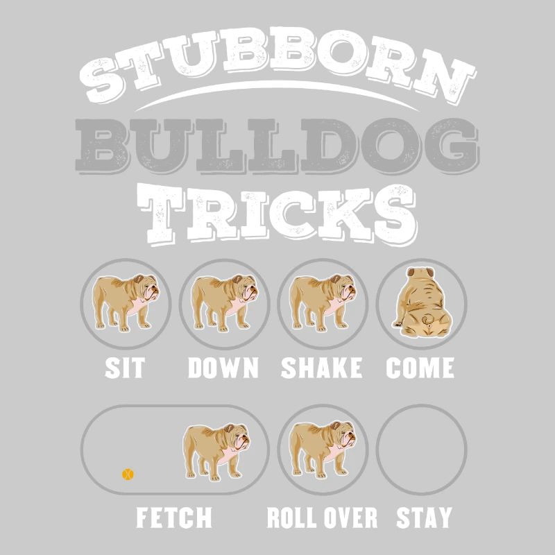 Dog training for bulldogen