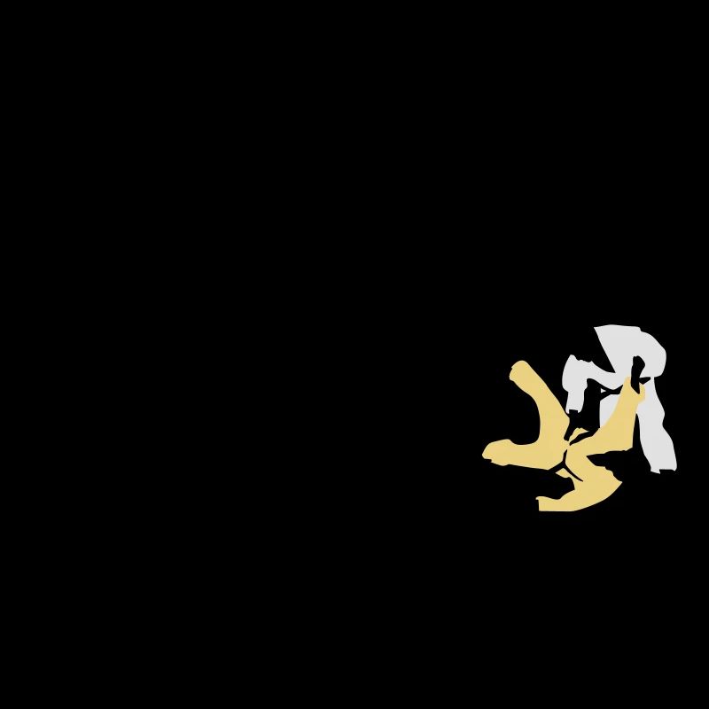 evolution_judo_a_3c