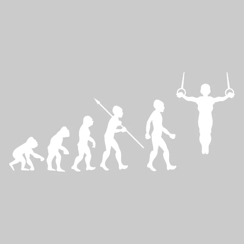 Evolution Gymnastics Gymnastics Acrobatics Gymnastics