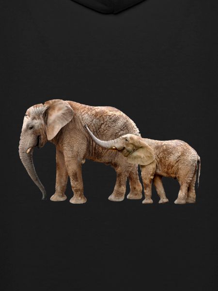 Éléphant