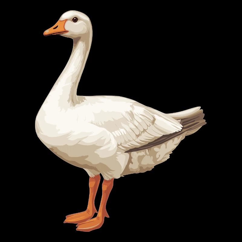 Gänse Gans