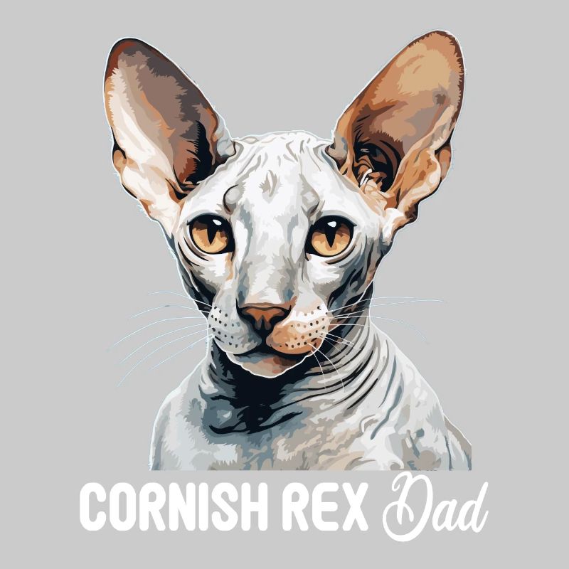 Cornish Rex Kätzchen Cornish Rex Katze